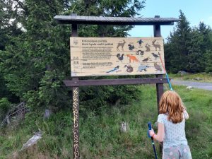 Giant Mountains kid-friendly hiking tour - educational trail